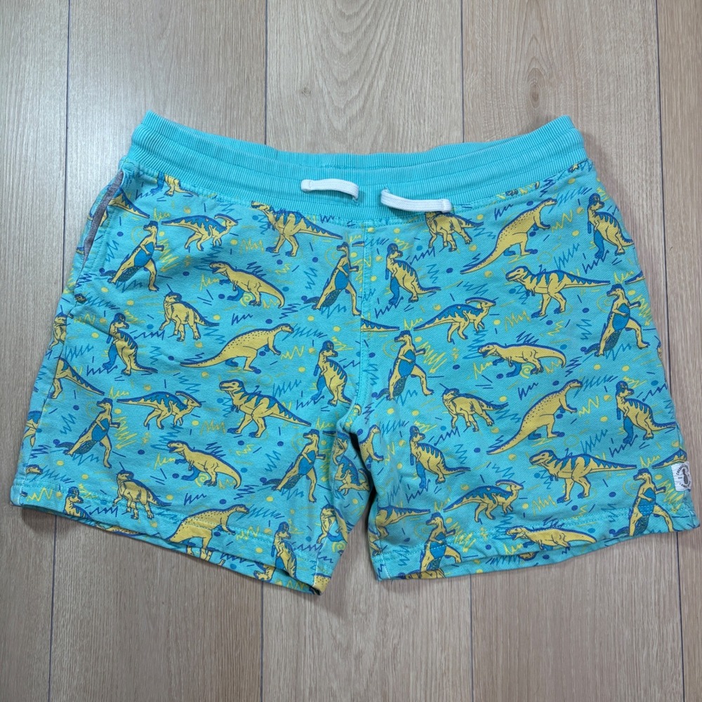 Chubbies Lounge Mens Medium 7" Inseam Dinosaur Print French Terry Shorts Blue